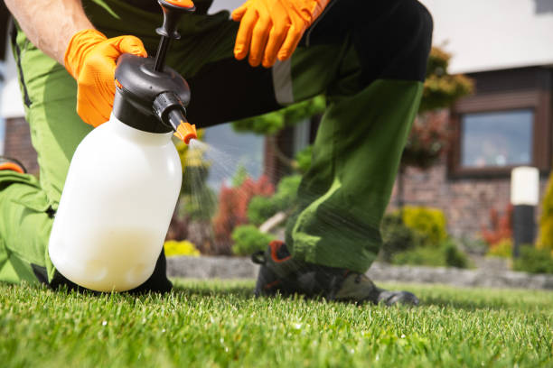 Best Emergency Pest Control  in Kearns, UT