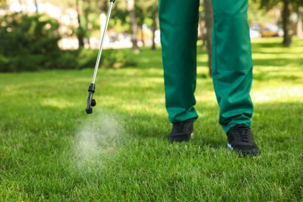 Best Ant Control Services  in Kearns, UT