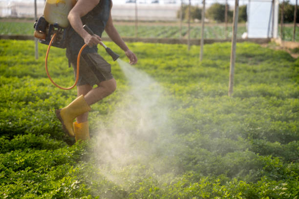 Best Pest Removal Services  in Kearns, UT