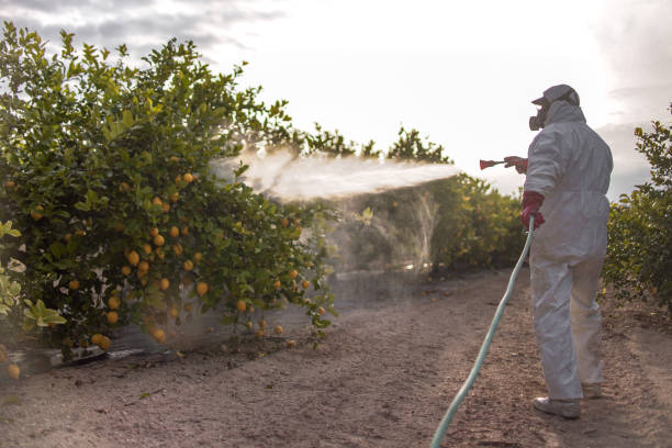 Reliable Kearns, UT Pest Control Solutions