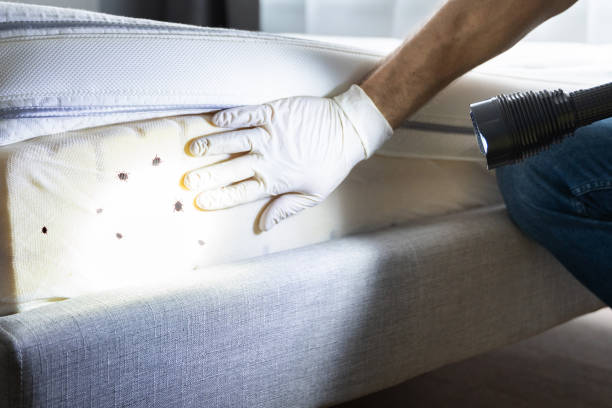 Best Bed Bug Extermination  in Kearns, UT