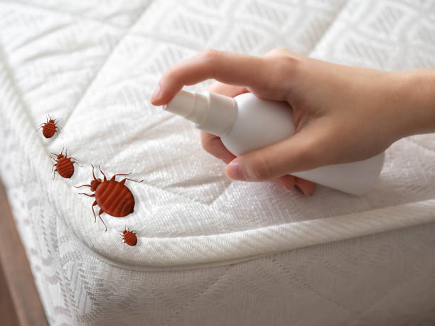 Best Pest Control for Businesses  in Kearns, UT