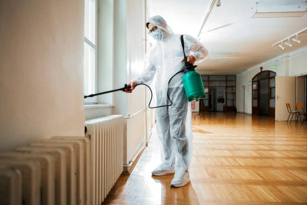 Best Rat Extermination Near Me  in Kearns, UT