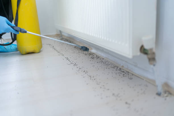 Best Wildlife Control Services  in Kearns, UT