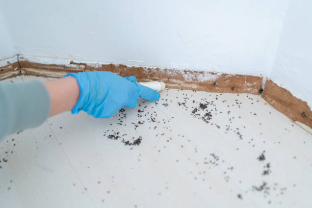 Best Wildlife Control Services  in Kearns, UT