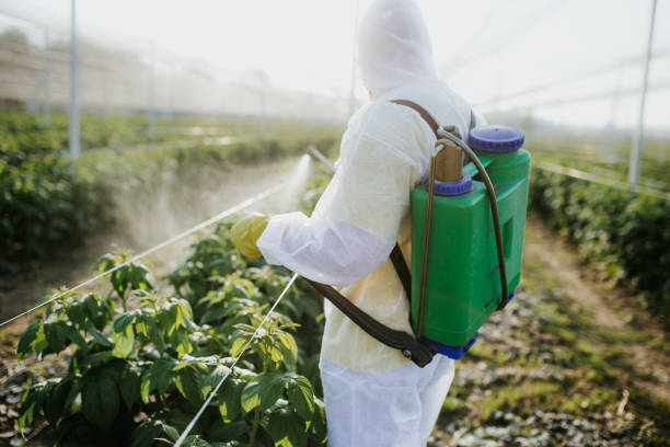 Best Pest Control for Homes  in Kearns, UT